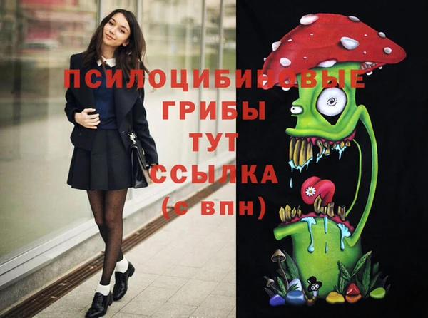 бошки Арсеньев