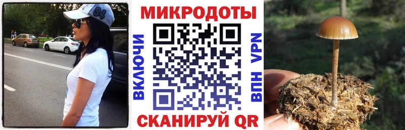 Галлюциногенные грибы ЛСД Волчанск