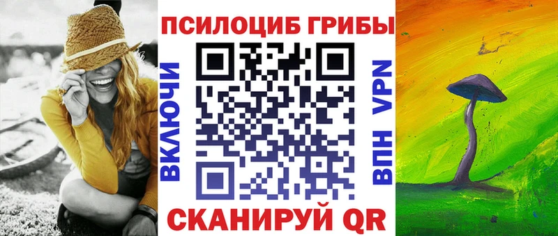 Псилоцибиновые грибы Psilocybine cubensis  Волчанск 